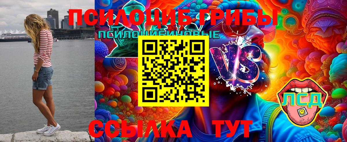 Псилоцибиновые грибы мухоморы  сколько стоит  Хабаровск  Вход с VPN  Галлюциногенные грибы ЛСД 